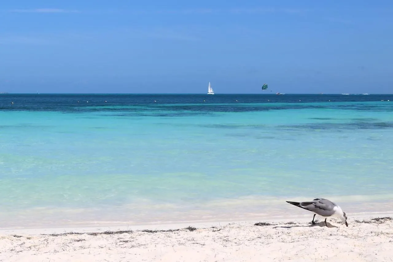 Seaak Cancun Rentals Apartment