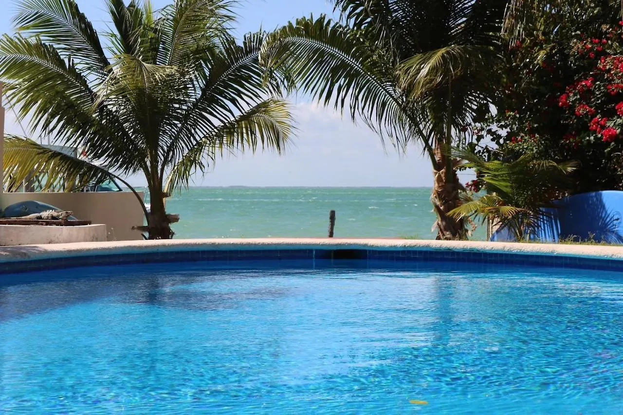 Seaak Cancun Rentals Mexico